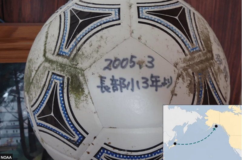 Storie straordinarie di oggetti dispersi dal maremoto giapponese dell’11 marzo 2011