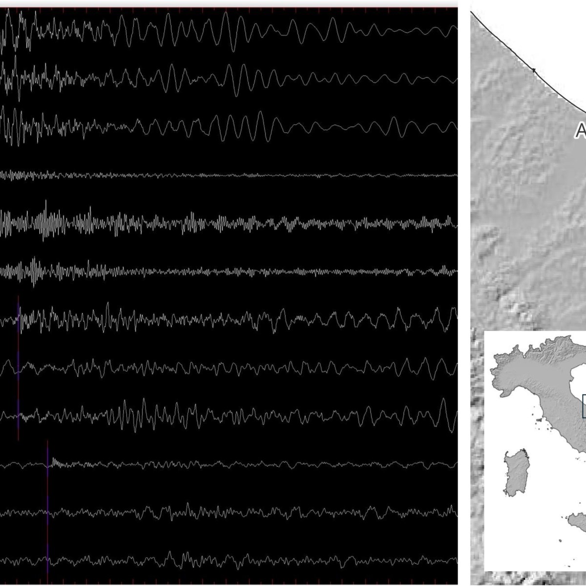 Esplosione in mare al largo di Ancona registrata dalle stazioni della Rete Sismica Nazionale, 9 febbraio 2025